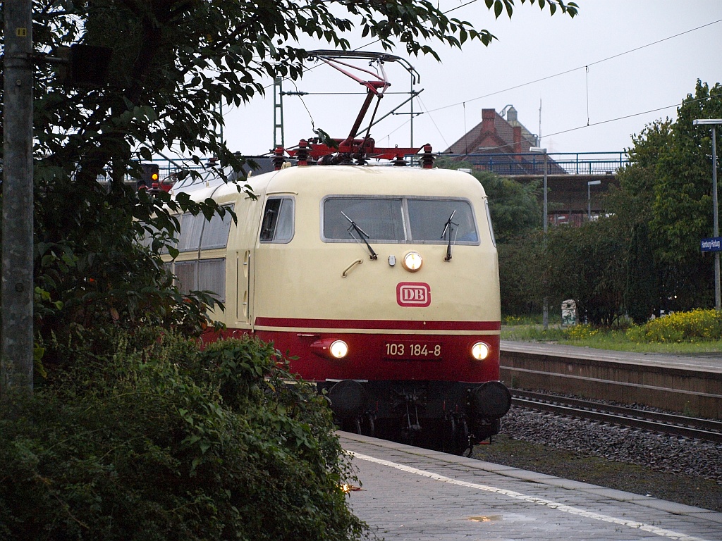 Langsam kam die 103 184-8 bei nordischem Wetter hinter den Büschen hervorgefahren und verschwand dann Richtung Maschen. HH-Harburg 26.09.2010 