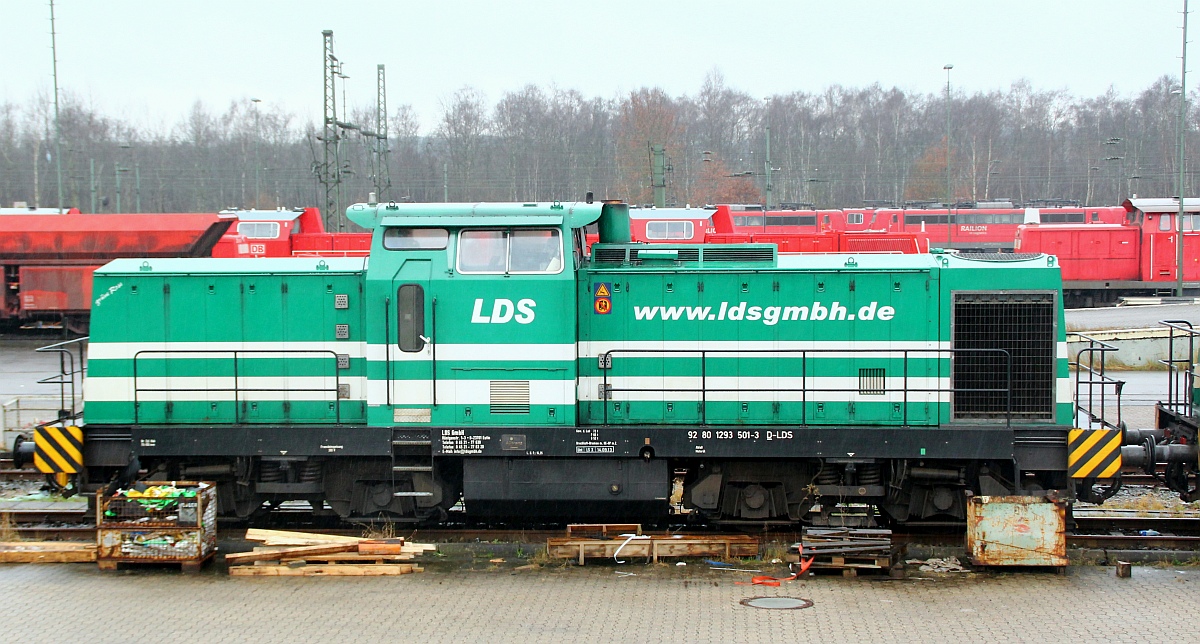 LDS/Schweerbau 293 501-3  Grüne Rose  Maschen Rvf 07.01.2012