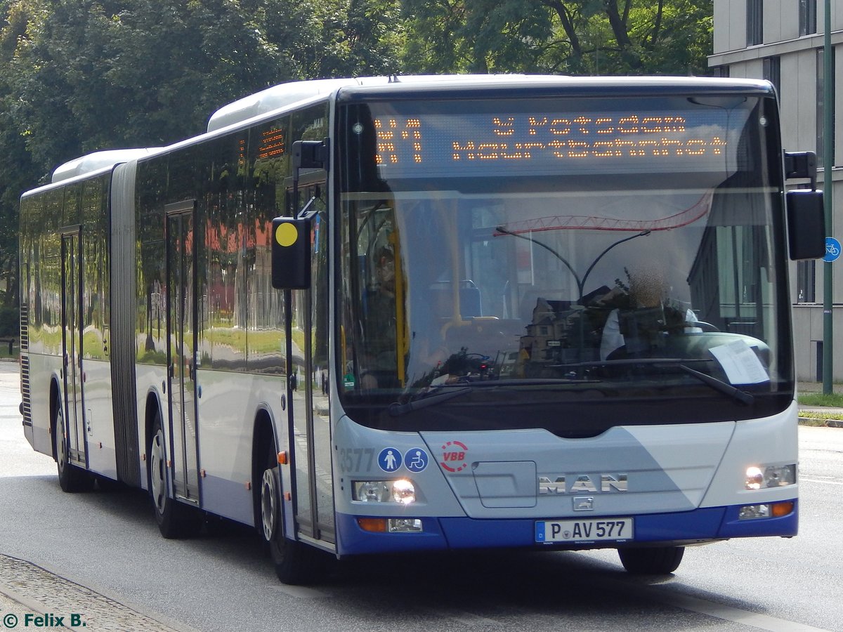 MAN Lion's City von Beelitzer Verkehrs- und Servicegesellschaft mbH in Potsdam.