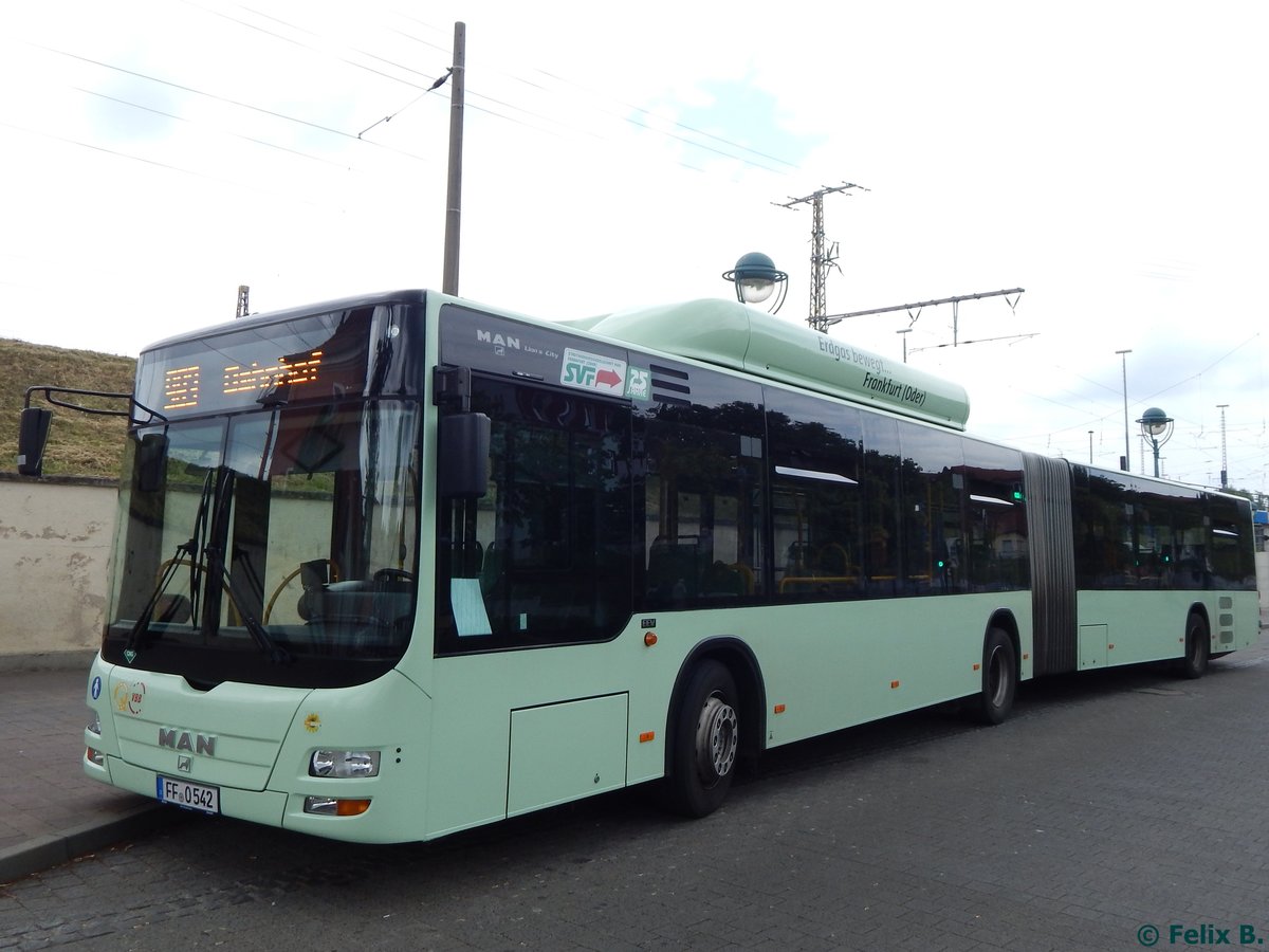 MAN Lion's City CNG der Stadtverkehrsgesellschaft mbH Frankfurt Oder in Frankfurt.