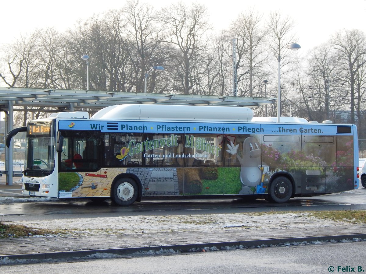 MAN Lion's City CNG der Stadtwerke Greifswald in Greifswald.