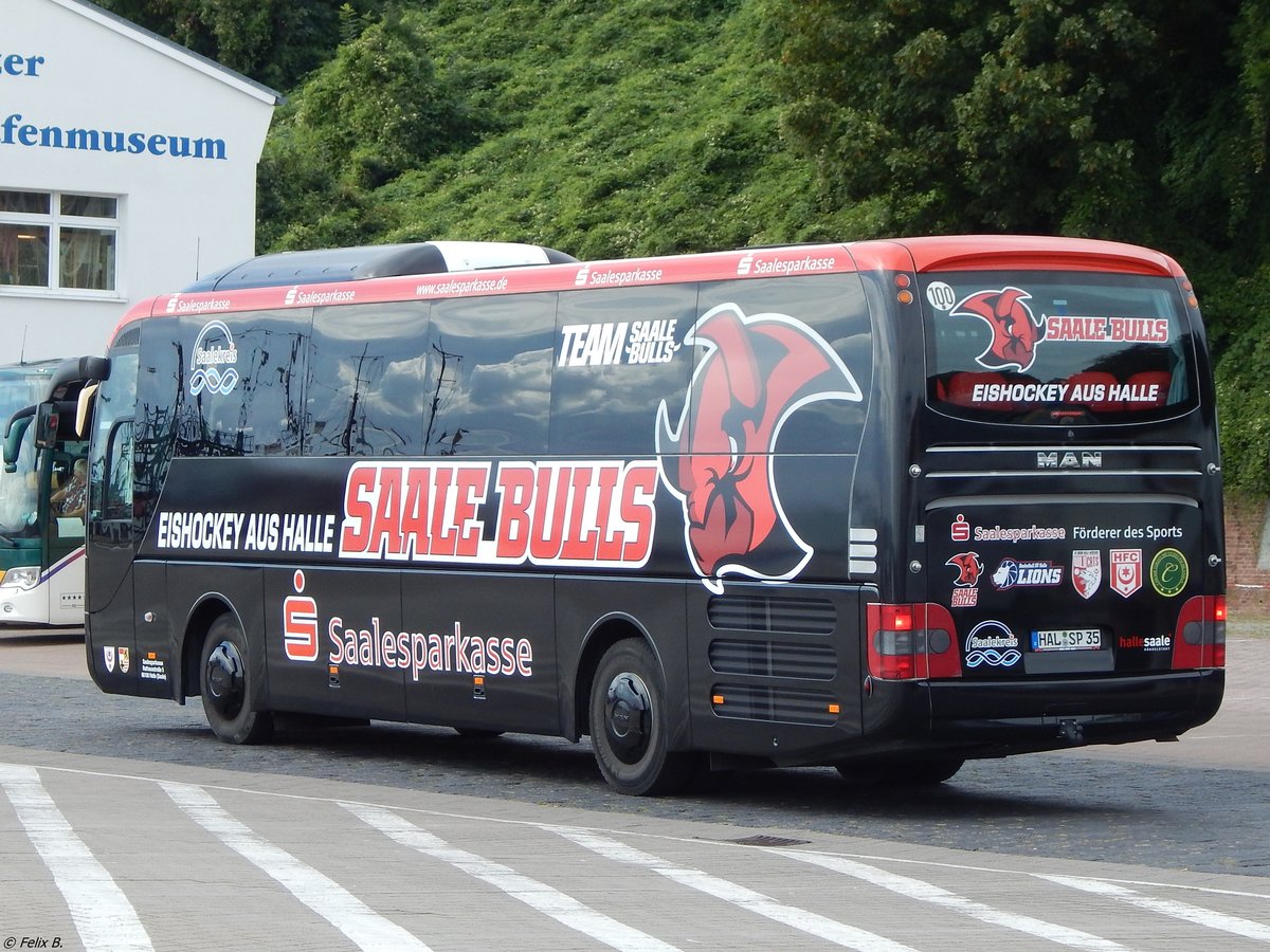 MAN Lion's Coach der Saalesparkasse aus Deutschland im Stadthafen Sassnitz.