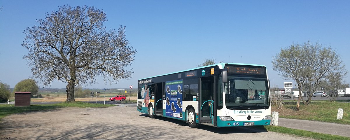 Mercedes Citaro II der Neubrandenburger Verkehrsbetriebe in Neubrandenburg. 