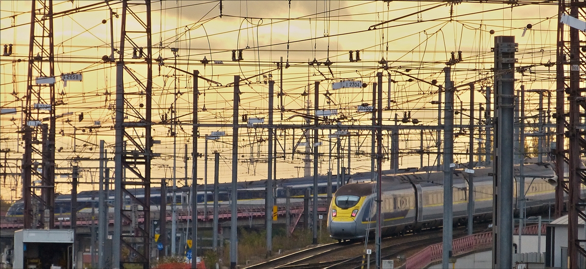 Motiv verdeckt - Im Mastenwald des Bahnhofsvorfeldes von Bruxelles-Midi kann man die Lnge des Eurostar Triebzuges nur erahnen. 18.11.2017 (Hans)