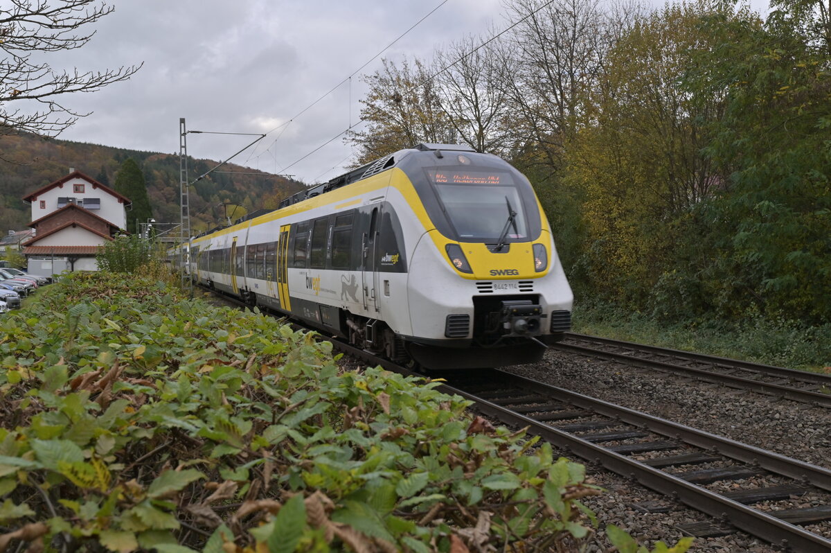 Nach mehr als drei Monaten Baupause wegen einer neuen Straßenüberführung in Hirschhorn fuhren keine durchgehenden Züge mehr auf dem RE10a. Seit einigen Tagen ist die Verbindung zwischen Heilbronn, Neckarelz und Mannheim wieder in Betrieb. Neckargerach den 8.11.2023