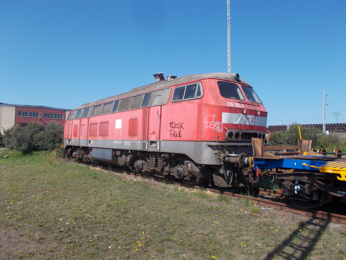 Neben 225er traf man,am 25.August 2019,in der Mukraner Einsatzstelle auch die 218 125.