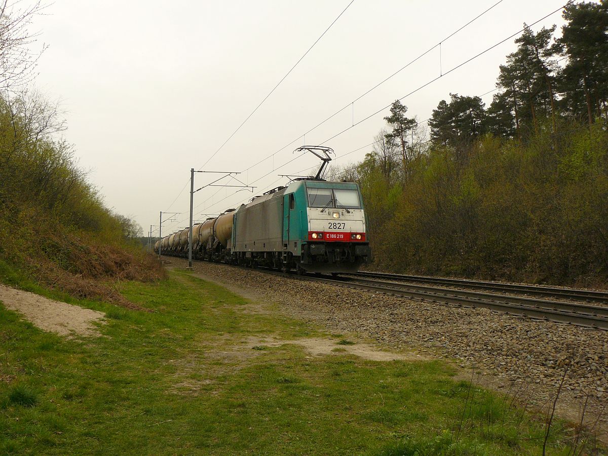 NMBS Lok 2827 mit Gterzug bei Gemmenich, Belgien 04-04-2014.

NMBS loc 2827 met ketelwagentrein. Spoorlijn Montzen-Aachen bij Gemmenich, Belgi 04-04-2014.
