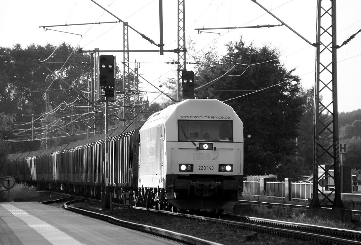 NRS 223 143-9 kommt hier mit einem Holzzug aus Flensburg-Weiche durch Schleswig gedieselt. 23.07.2014