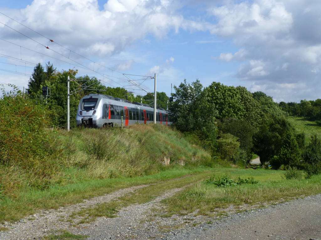 RB20 nach Halle(S) am 7.9.2017 kurz nach dem Halt in Hopfgarten bei Weimar. 442 305.