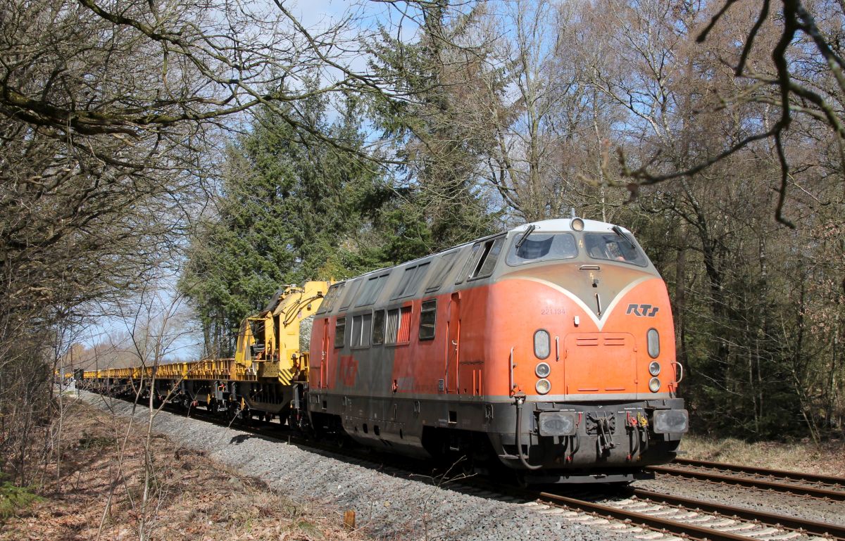 RTS 221 134-0 B Beekensweg b. Bordelum 31.03.2019