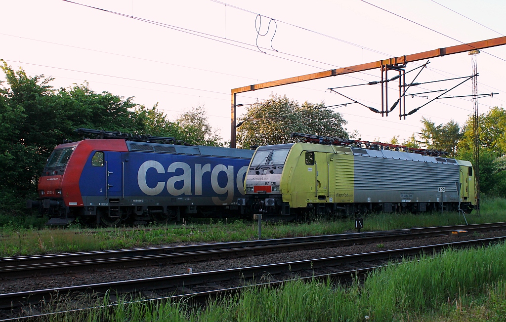 SBB Cargo 482 031-2 und 189 926-9 stehen am frühen Morgen des 08.06.2013 im deutschen Teil des Gbf Padborg abgestellt.