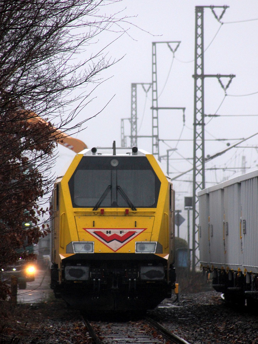 Schlafender gelber Riese in Jübek. 07.12.2018