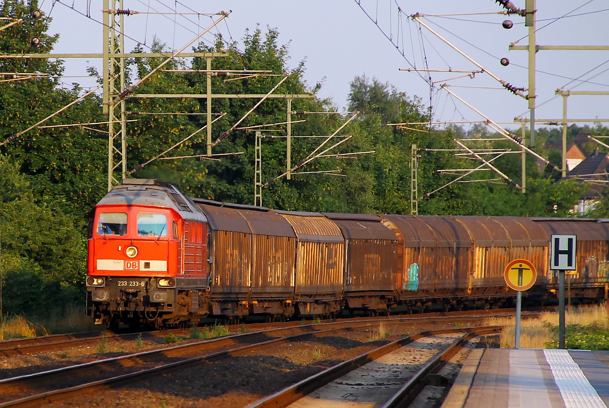 Sie scheint die Stamm-Lok des EZ/GD 47420 von Maschen über Neumünster nach Esbjerg zu sein denn sie kommt jeden Abend als Erste mit einem Umleiter die 233 233-6. Schleswig 18.07.2014