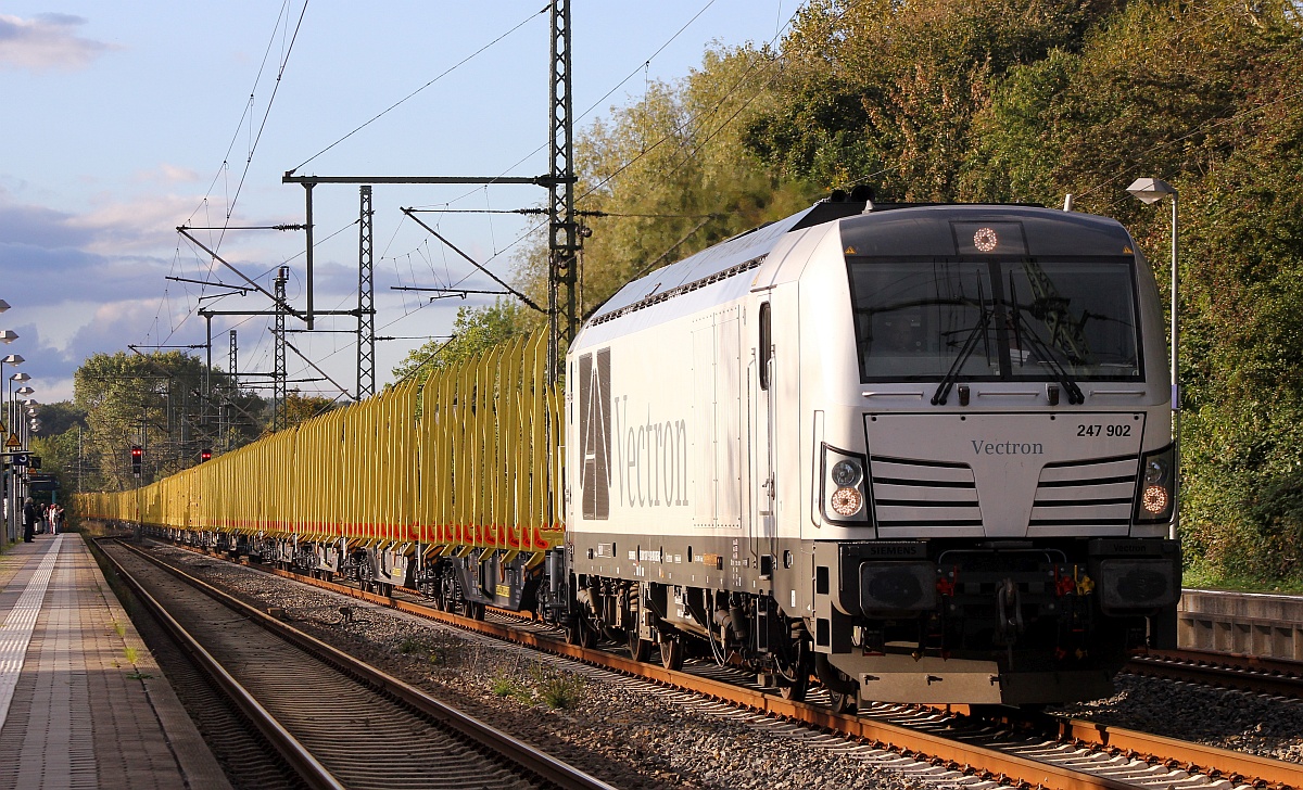 SIEAG/SETG 247 902-0 mit dem beladenen Holzzug aus Jübek auf dem Weg gen Süden. Schleswig 08.10.2016