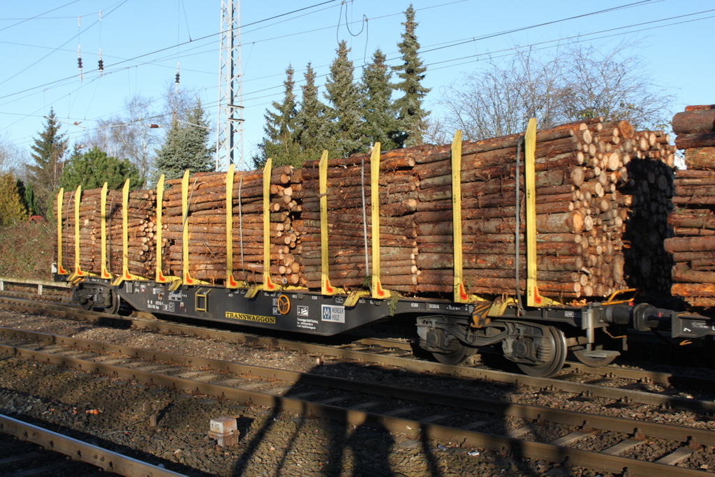 Snps Wagen am 07.01.2018 in Rostock-Bramow mit viel Holz.