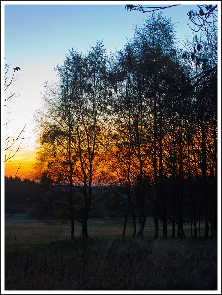 Sonnenuntergang am Westerwald....
Bei Nisterberg am 30.10.2013.