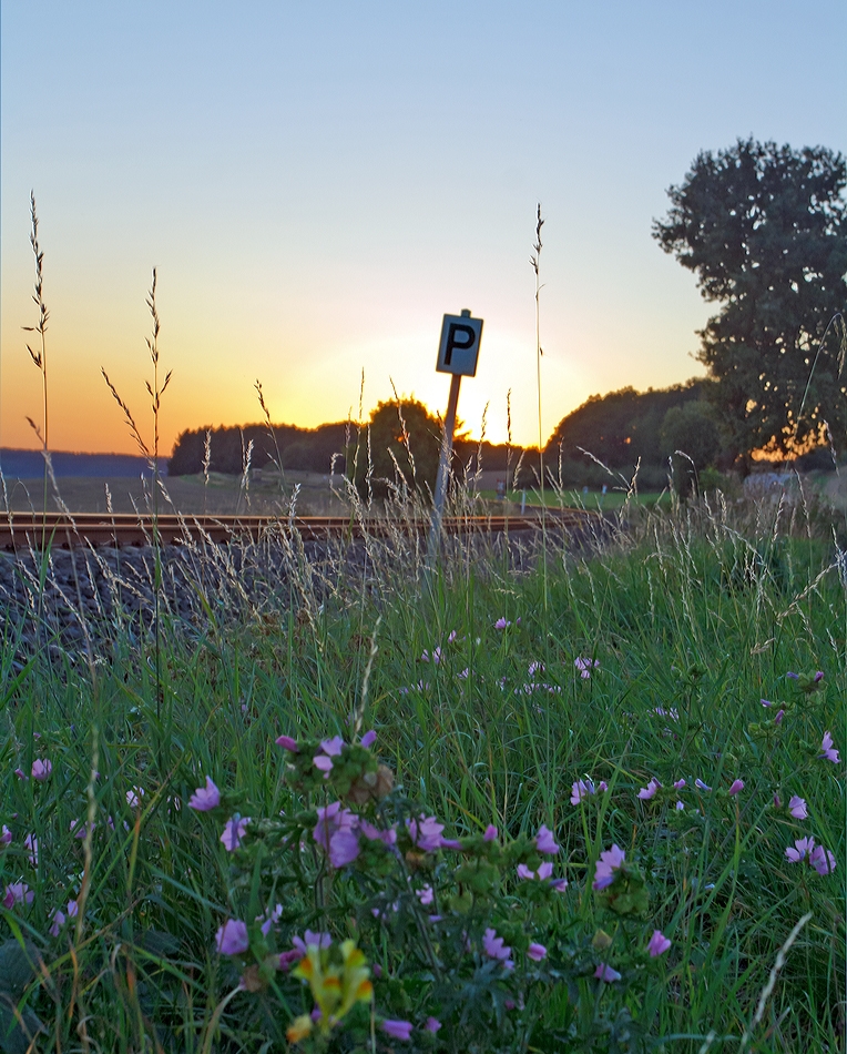 Sonnenuntergang an der Oberwesterwaldbahn (KBS461)... 

Hier am  05.09.2013 bei Hachenburg