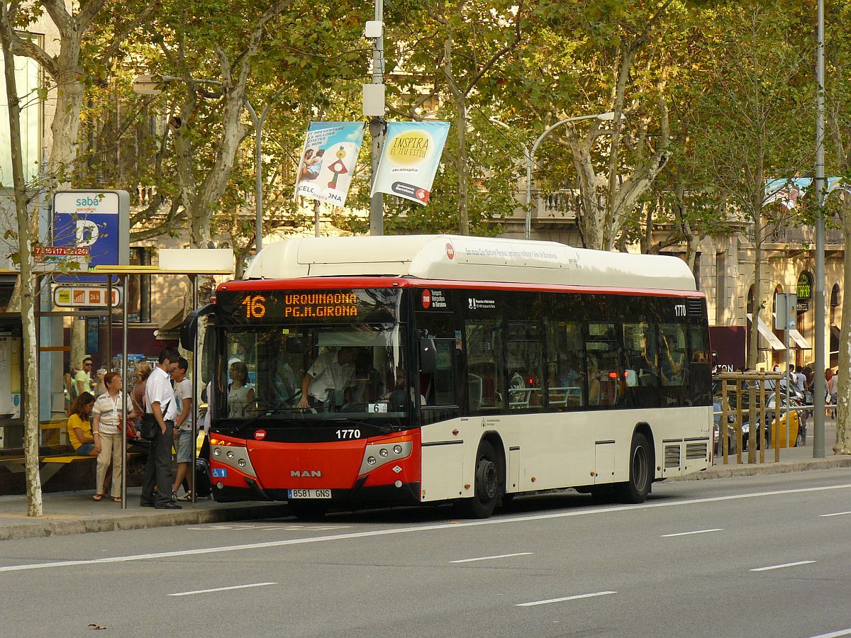 TMB Bus 1770 MAN NL243F GNC / Castrosua CS.40 Versus Baujahr 2007.  Passeig de Grcia, Barcelona 02-09-2013.

TMB bus 1770 MAN NL243F GNC / Castrosua CS.40 Versus bouwjaar 2007.  Passeig de Grcia, Barcelona 02-09-2013.