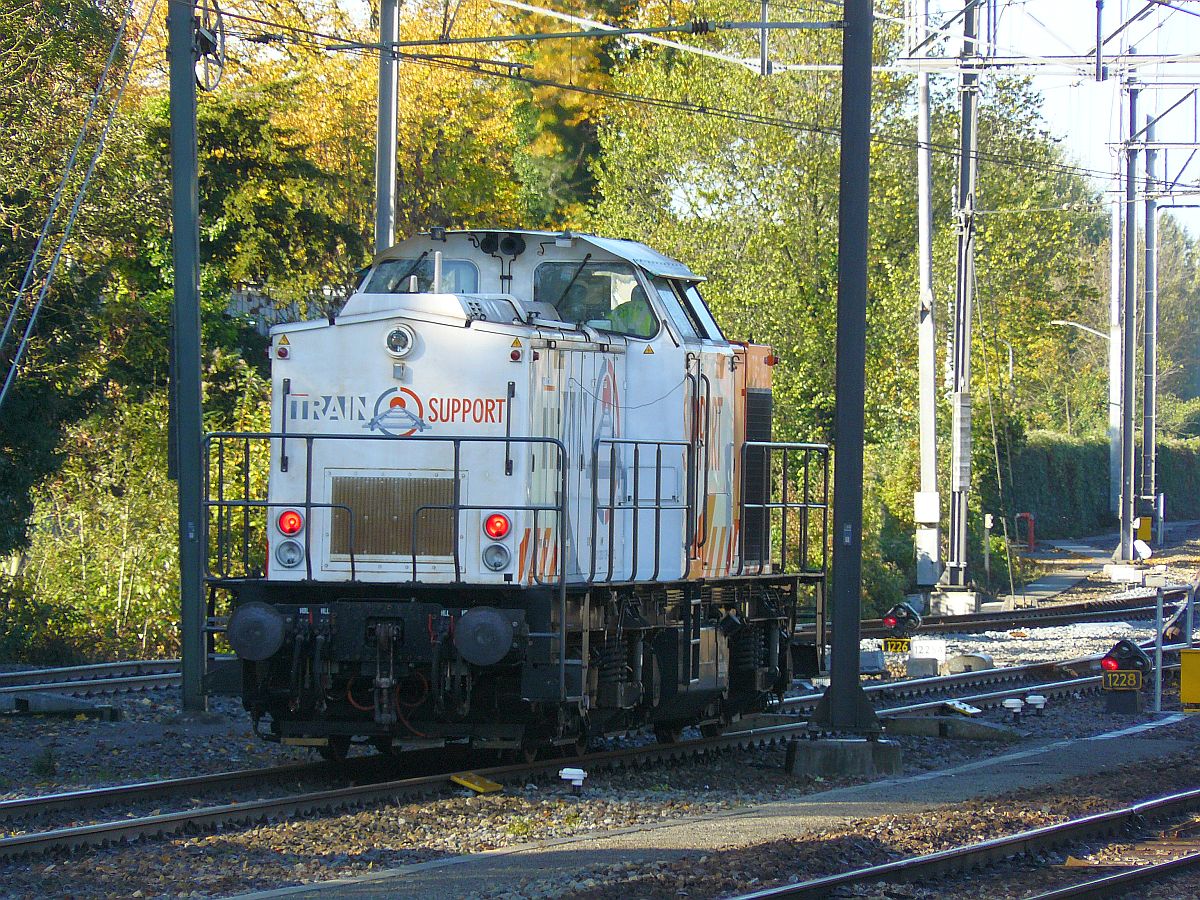 Train Support Lok TG-103 Dordrecht 24-10-2013.

Train Support TG-103 zojuist teruggekomen van Dordrecht Zeehaven. Dordrecht 24-10-2013.