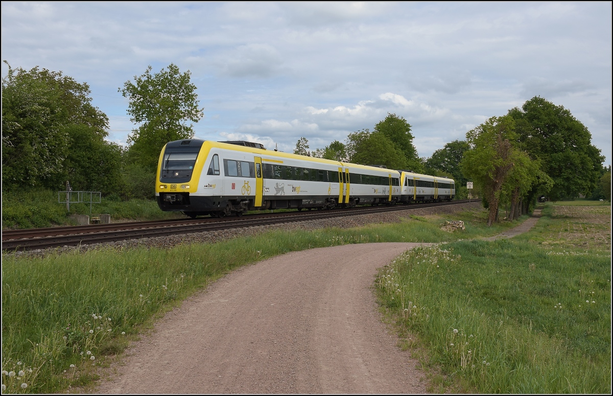 Traktionswandel am Hochrhein, der einzigen  Schweizer Dieselstrecke , die Schaffhausen mit Basel verbindet, sowie auch Rheinfelden AG, Stein-Säckingen.

Am Bahnübergang der B 34 beim Markhof nahe des Bahnübergangs zur B 34 fahren 612 019 und 612 014 vorüber. Mai 2018. 