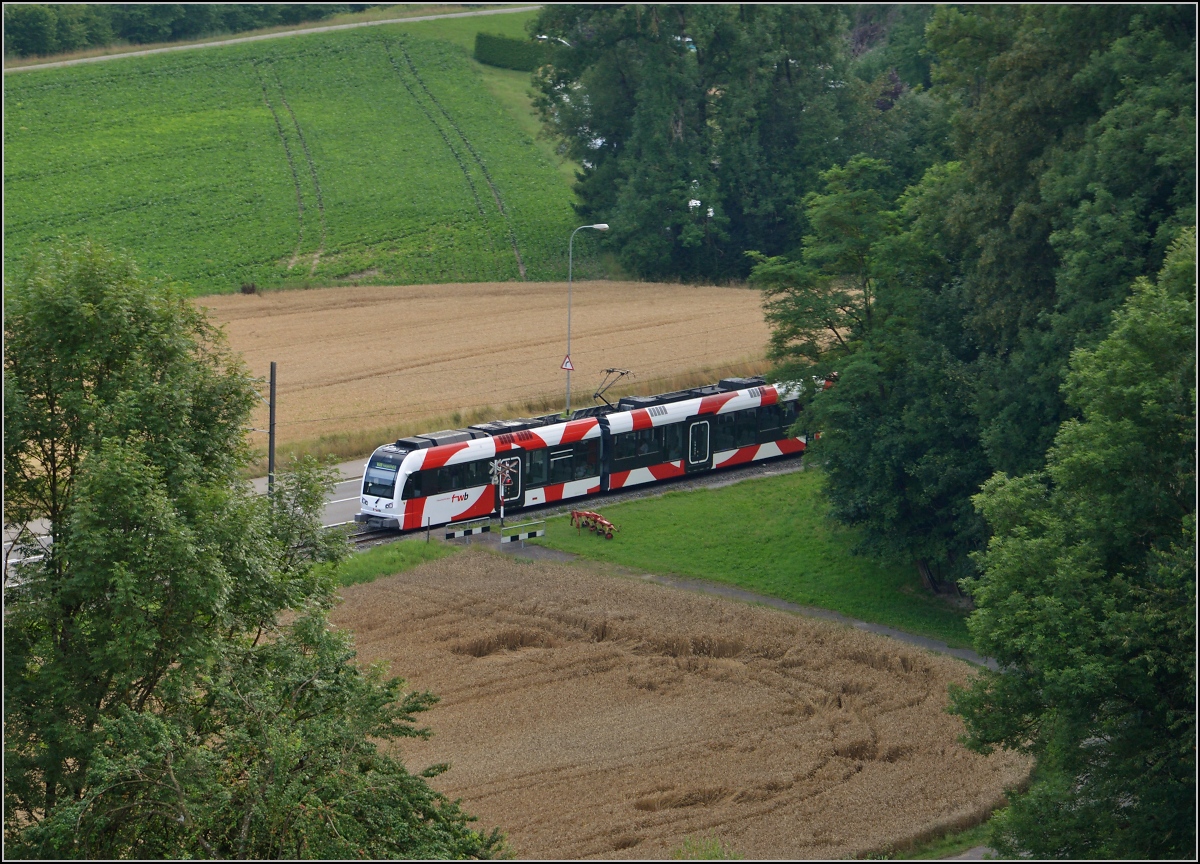 Triebwagen der Frauenfeld-Wil-Bahn ABe 4/8 bei Ldem. Juli 2014.