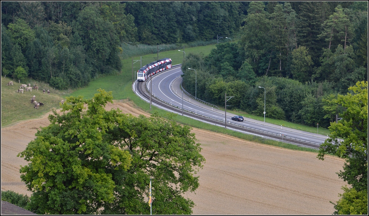 Triebwagen der Frauenfeld-Wil-Bahn ABe 4/8 zwischen Murkart und Lüdem. Juli 2014.