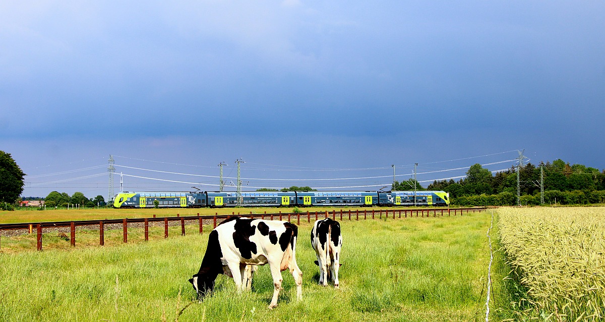 Unbekannter NAH.SH Twindexx aufgenommen am Bü Jyderupweg in Jübek an der Strecke nach Husum. 25.06.2022