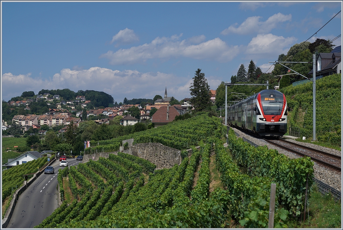 Unter dem Titel  Sommerfahrplan  wurde dem Publikum einschneidende Betriebsbeschränkungen schmackhaft gemacht, eine davon betraf die komplette Streckenerneuerung Puidoux - Lausanne auf der wichtigen Hauptstrecke Lausanne - Bern, so dass ein Ersatzkonzept mit Züge via  Train de Vignes  Strecke angeboten wurde. Die Züge Genève - Vevey - Fribourg wurden von KISS RABE 511 gefahren. 

Ein SBB RABe 511 kurz nach Chexbres Village auf der Fahrt nach Genève. 

10. Juli 2018