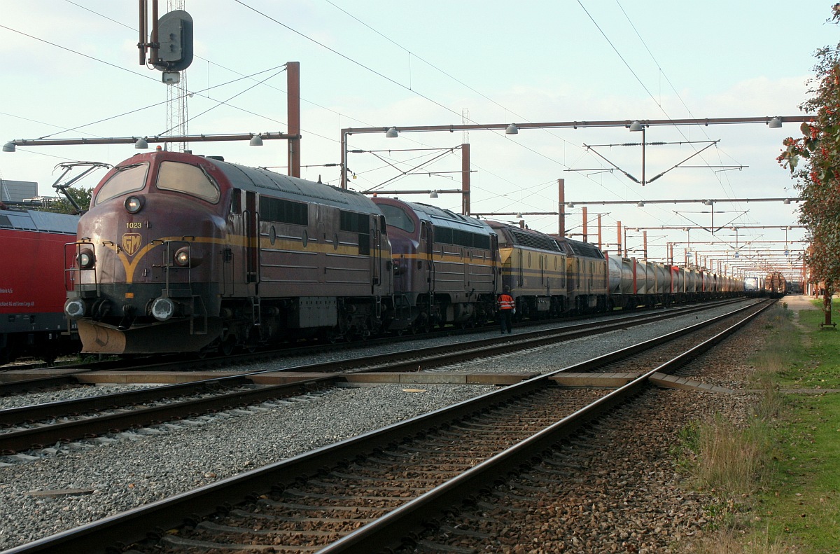 Vier mal NOHAB, 4 mal 1433kW und ein schwerer Zement-Express sind gerade im dnischen Padborg angekommen. CFLCADK Litra Mx 1023 und Litra My 1146 sowie die beiden  Booster  CFLCA 1814 und 1807 festgehalten am 30.09.2015 in Pattburg/Padborg.