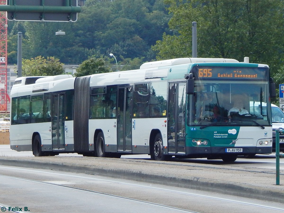 Volvo 7700 vom Verkehrsbetrieb Potsdam in Potsdam.