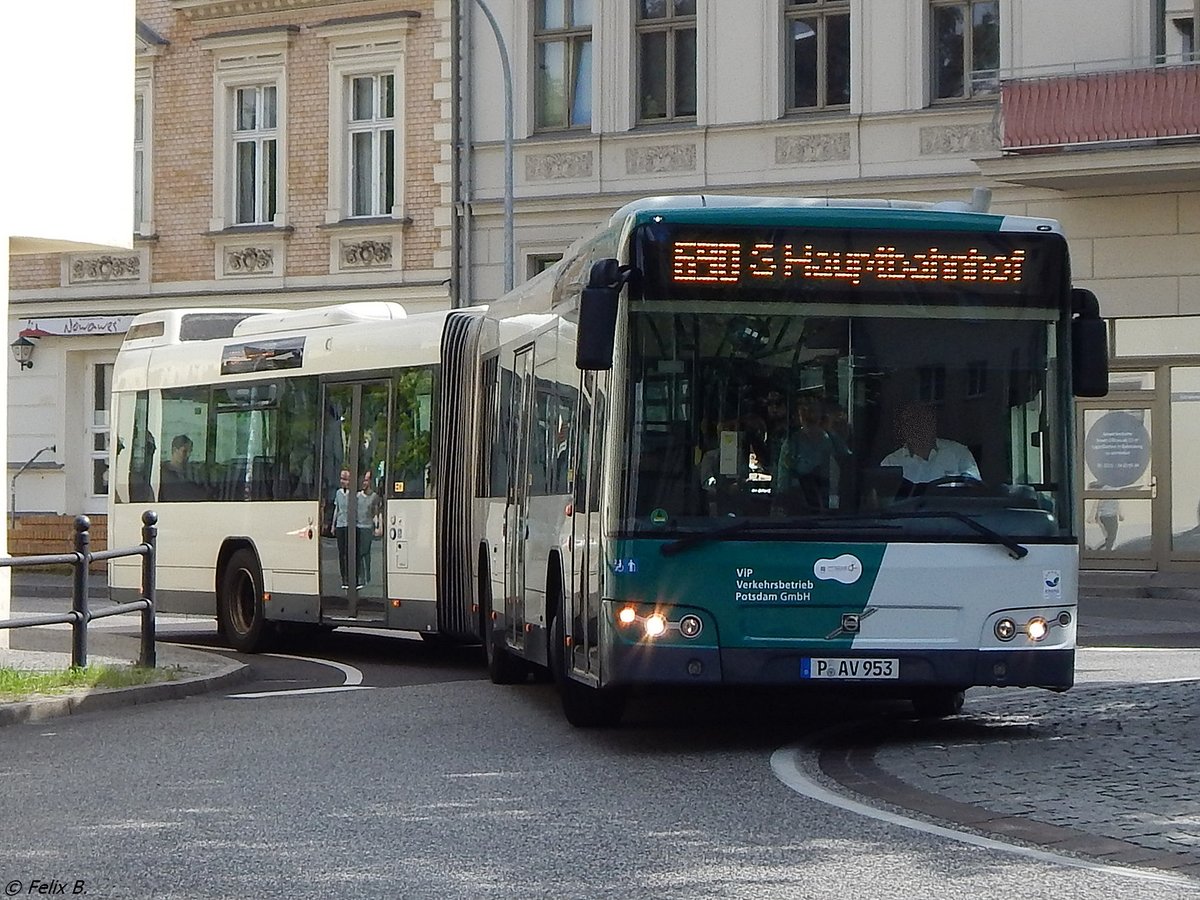 Volvo 7700 vom Verkehrsbetrieb Potsdam in Potsdam.