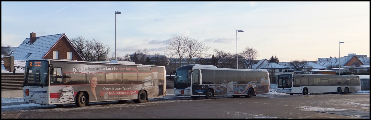 Volvo 8700, MAN Lion's Regio und MAN Lion's City der RPNV in Bergen.