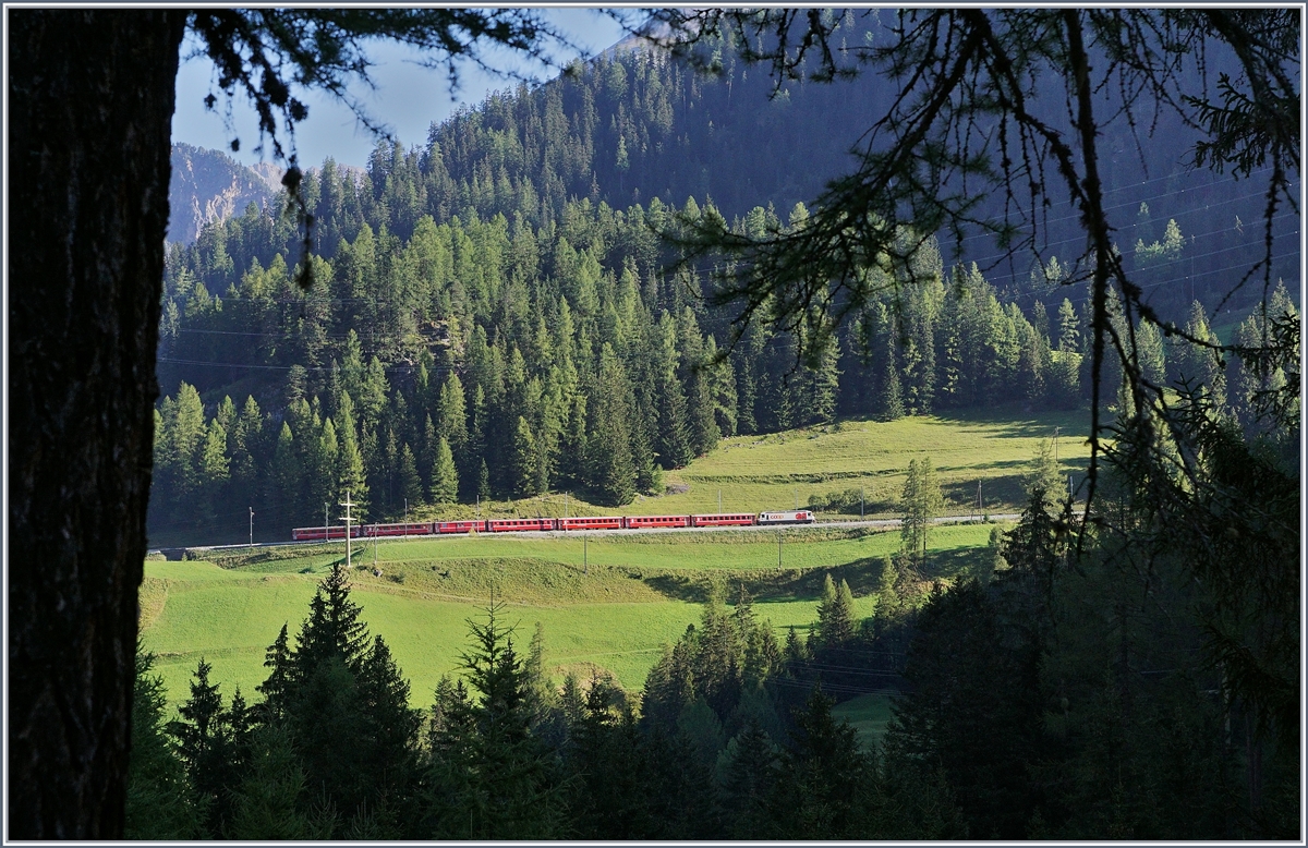 Während die sich Bahnlinie von Bergün nach Preda Anfangs am östlichen Hang hoch windet, verläuft der Bahnwanderweg am westlichen Hang, so dass nur ein eingeschränkter Blick auf Strecke möglich ist.
Die RhB Ge 4/4 III  coop  mit einem Schnellzug von Chur nach St.Moritz kurz vor der Diestnstation Muot.
14. Sept. 2016