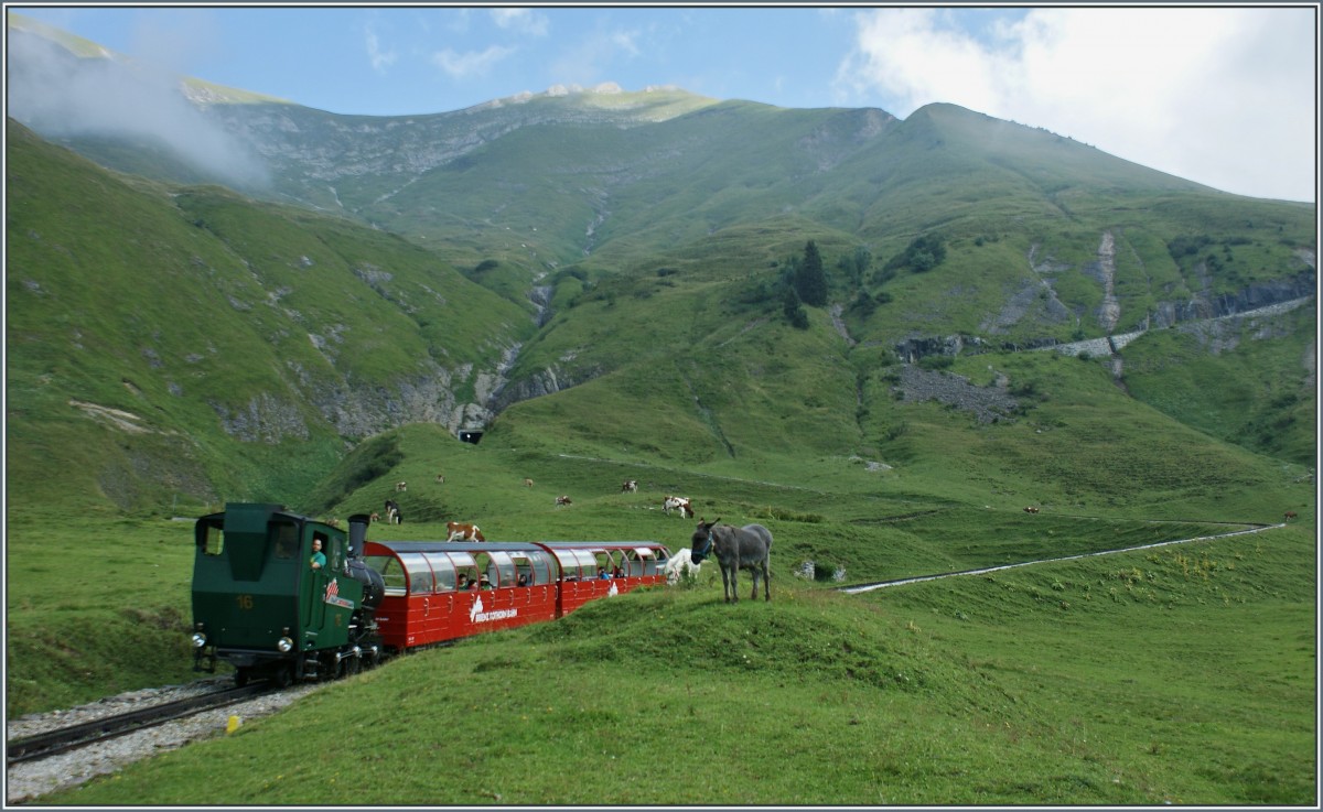  ...Wieso hat es fr mich keinen Platz gehabt? , fragt sich der Esel, als er die noch freien Pltze beim vorbeifahrenden Zug sieht.
(30.08.2013)