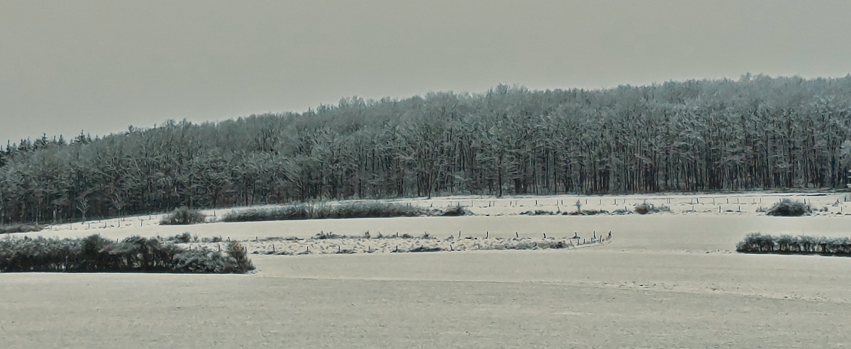 Winterlandschaft in Erpeldange / Wiltz. 02.01.2025