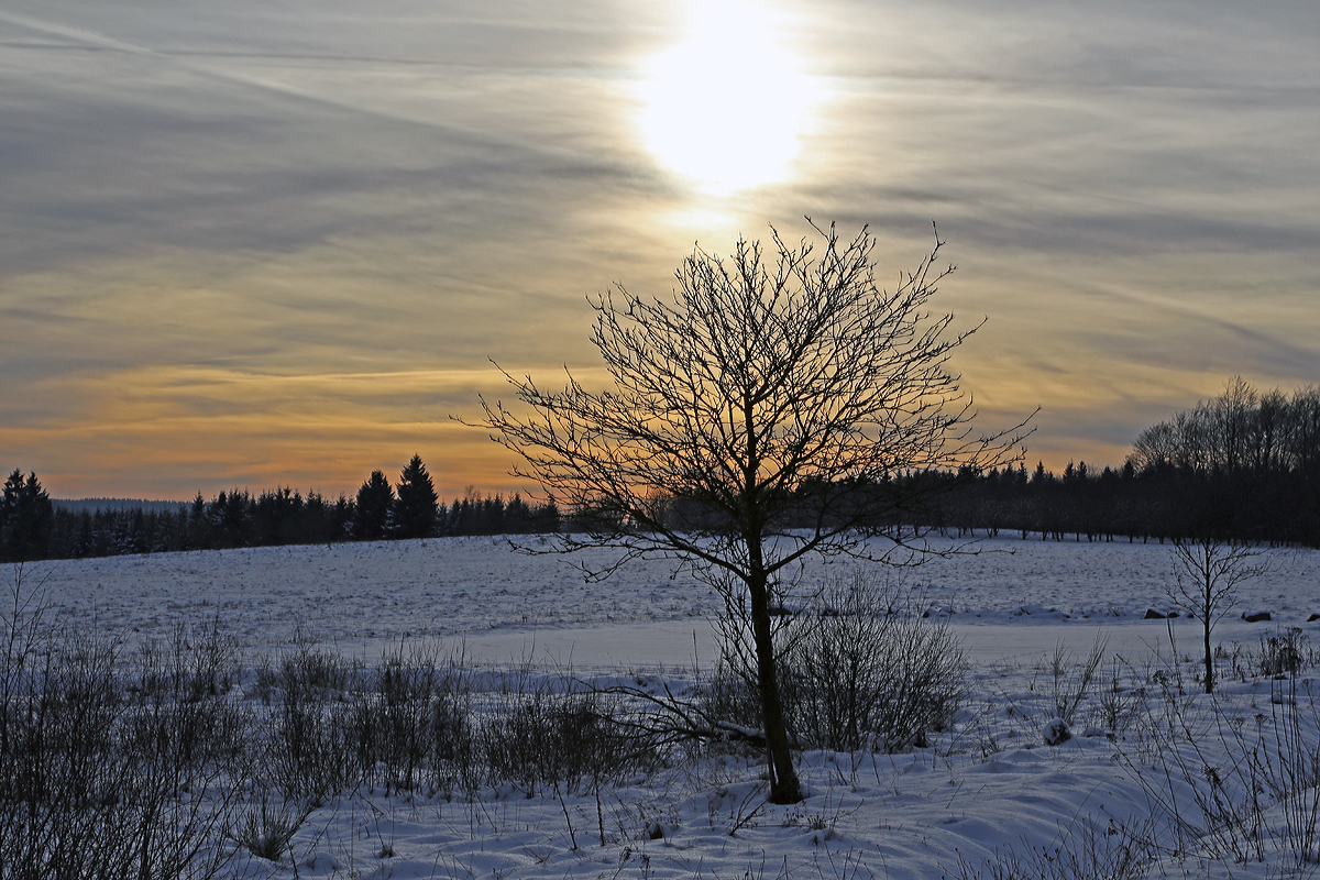 
Winterzauber im Westerwald, bei Nisterberg am 05.01.2015.