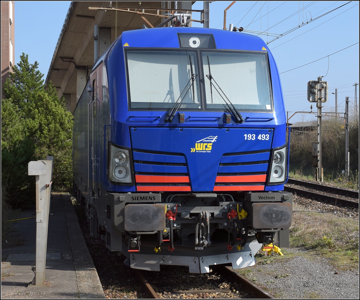 WRS-Vectron 193 493 in Muttenz. März 2019.