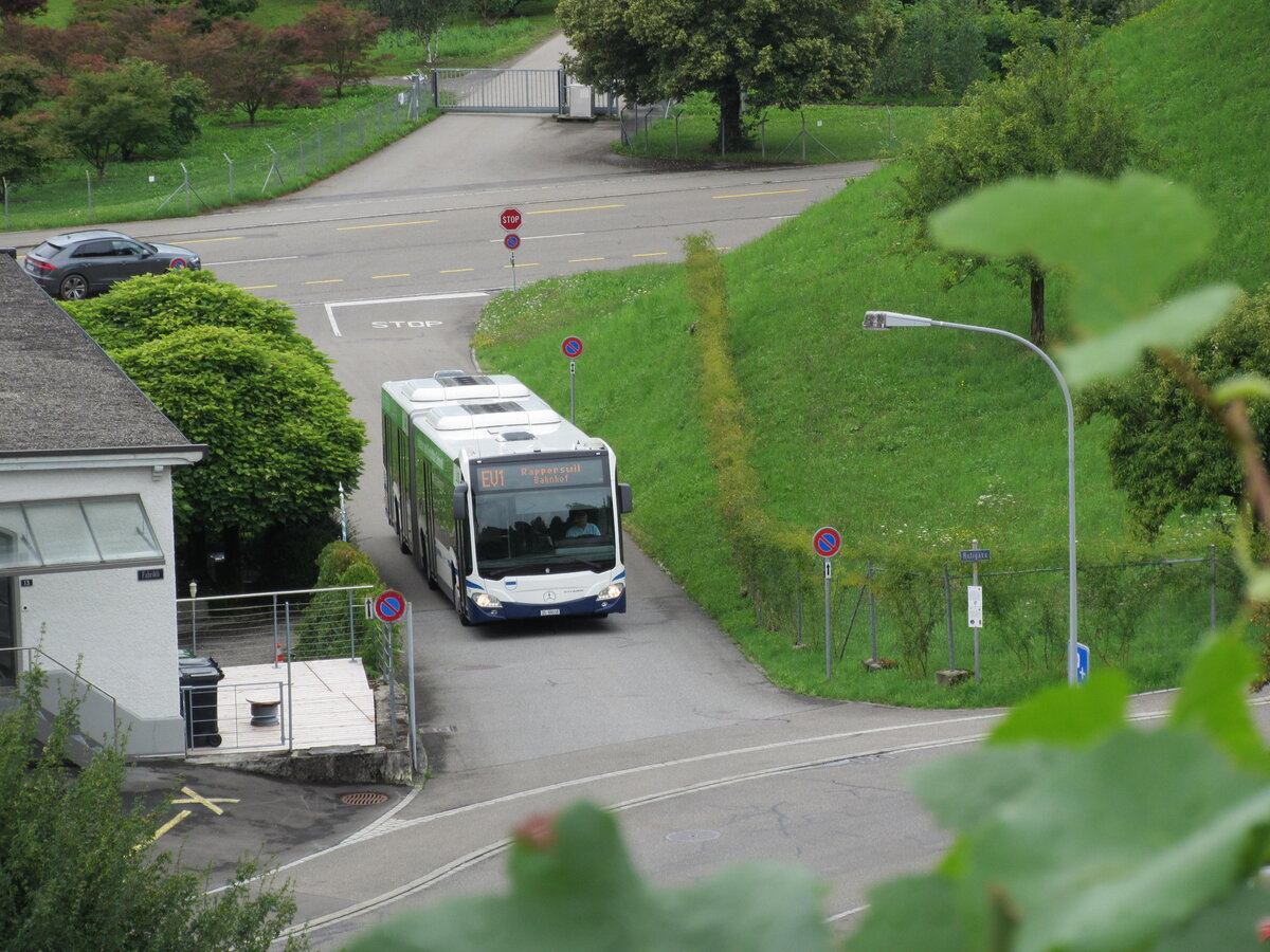 ZVB – Mercedes Citaro Nr. 38 (Baujahr 2012) ist unterwegs als Bahnersatzbus zwischen Stäfa und Rapperswil und befindet sich hier kurz vor dem Bahnhof Feldbach am 27.7.25