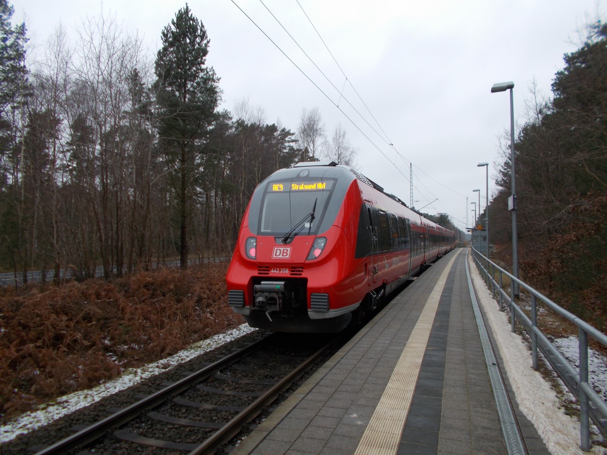 Zwischen Binz und Lietzow,und zurück,pendelte am 26.Januar 2015,der 442 358 der hier auf seiner Fahrt,von Binz nach Lietzow,in Prora Ost hielt.