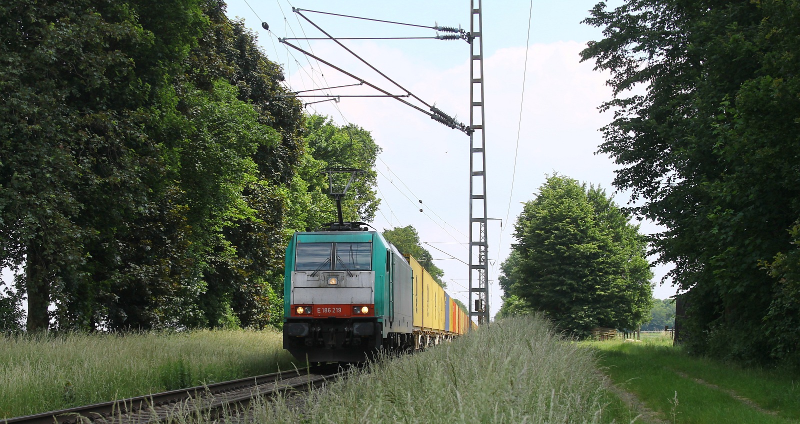 ATLU E 186 219 mit Containerzug bei Boisheim 06.06.2024