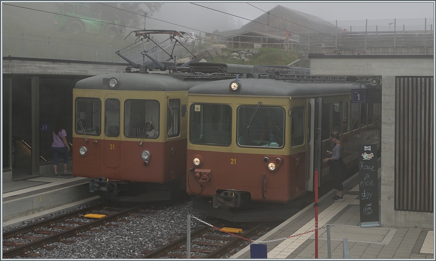 Bei Nebel mitten im Sommer kreuzen sich in Winteregg die beinden BLM Be 4/4 31 LISI und Be 4/4 21. 

23. Juli 2024