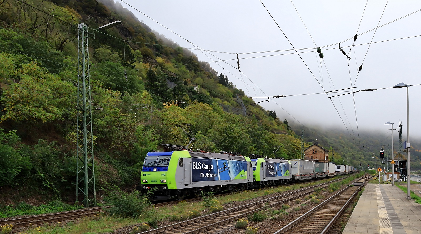 BLS Cargo 485 010 + 001-2  Die Alpinisten  mit KLV Zug gen Koblenz. Kaub 23.10.2023