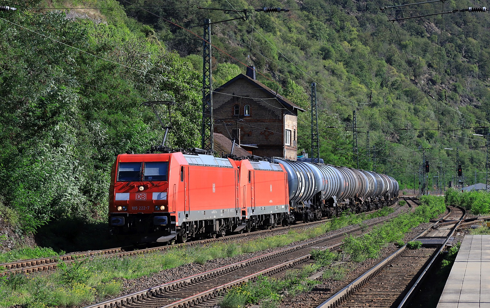 DB 185 222-7 REV/LMR 9/15.11.22 + 185 258-1 SSR 9/21.03.2 mit Kesselzug in Kaub am Rhein 14.09.2023