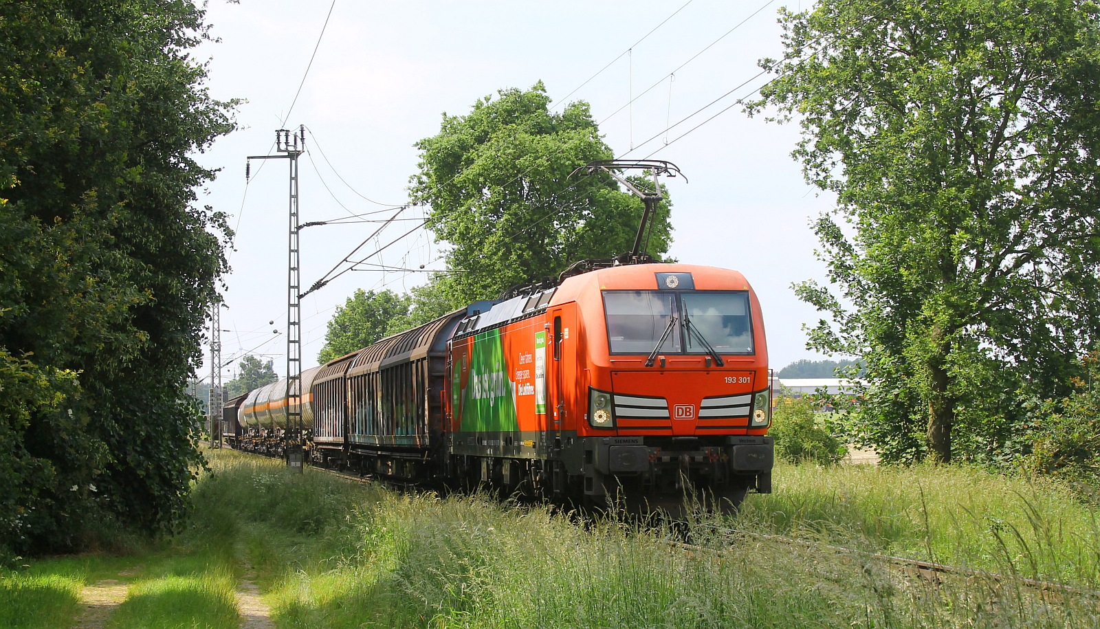 DB 193 301-9 mit Güterzug bei Boisheim 06.06.2024