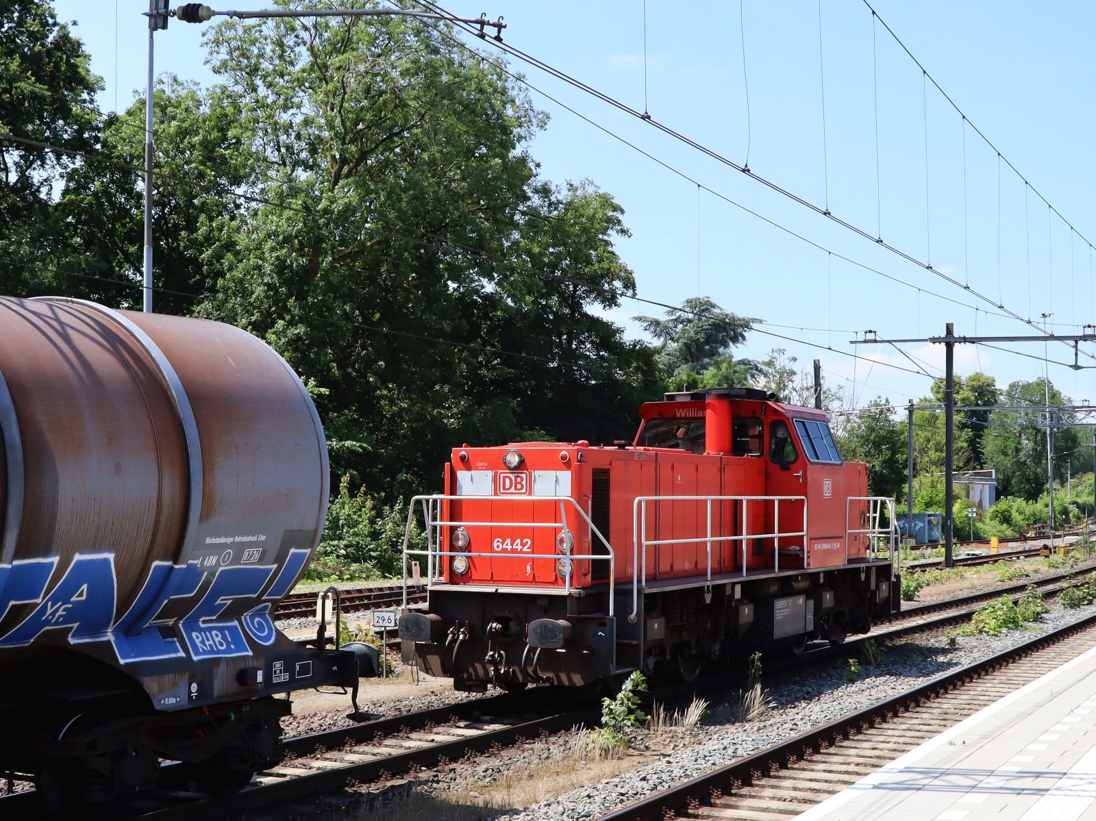 DB Cargo Diesellokomotive 6442  William  Bahnhof Dordrecht 25-06-2024.


DB Cargo diesellocomotief 6442 genaamd  William  Dordrecht 25-06-2024.