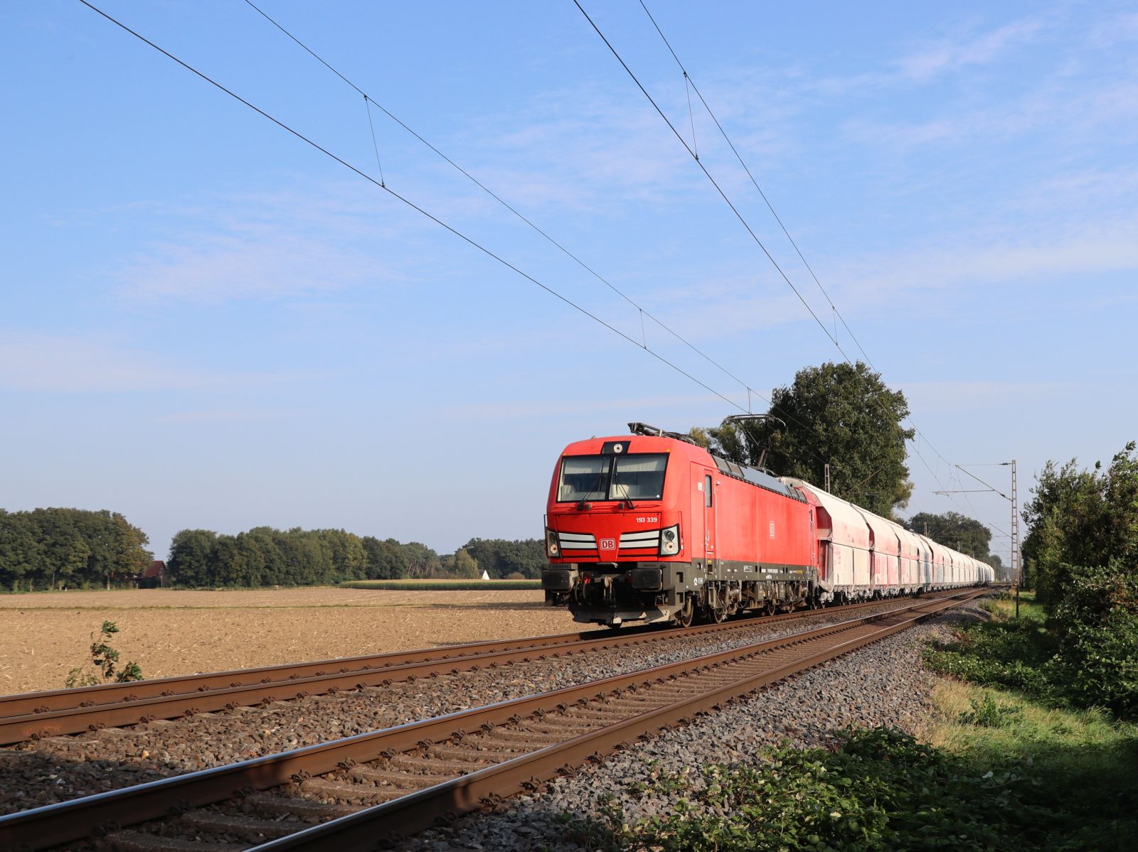 DB Cargo Lokomotive 193 339-9 bei Bahnübergang Wasserstrasse Hamminkeln 19-09-2024.
DB Cargo locomotief 193 339-9 bij overweg Wasserstrasse Hamminkeln 19-09-2024. DB Cargo Lokomotive 193 339-9 bei Bahnübergang Wasserstrasse Hamminkeln 19-09-2024.
DB Cargo locomotief 193 339-9 bij overweg Wasserstrasse Hamminkeln 19-09-2024.