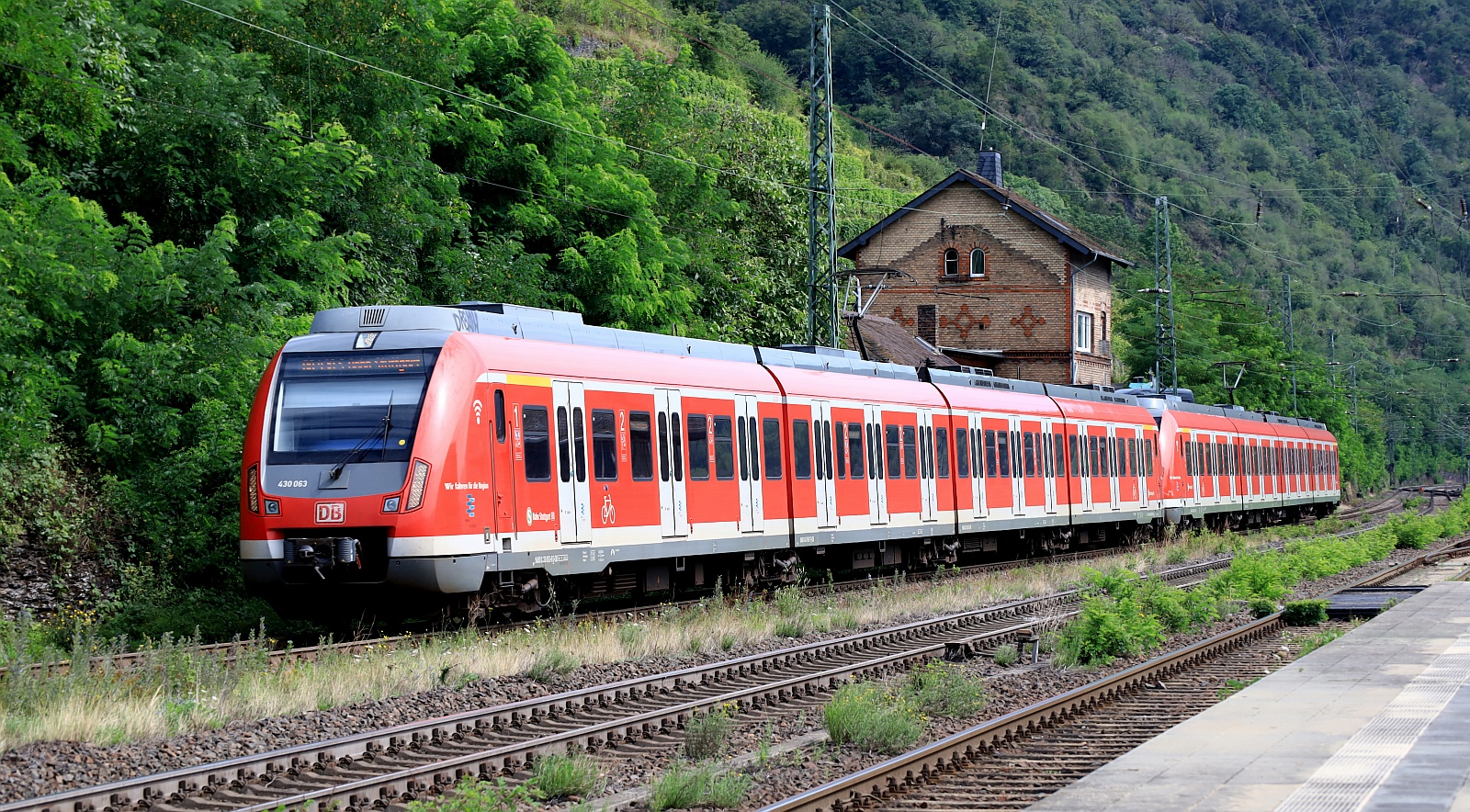 DB S-Bahn Stuttgart 430 063/563 + 430 001/501 passiert hier Kaub am Rhein am 05.08.2024