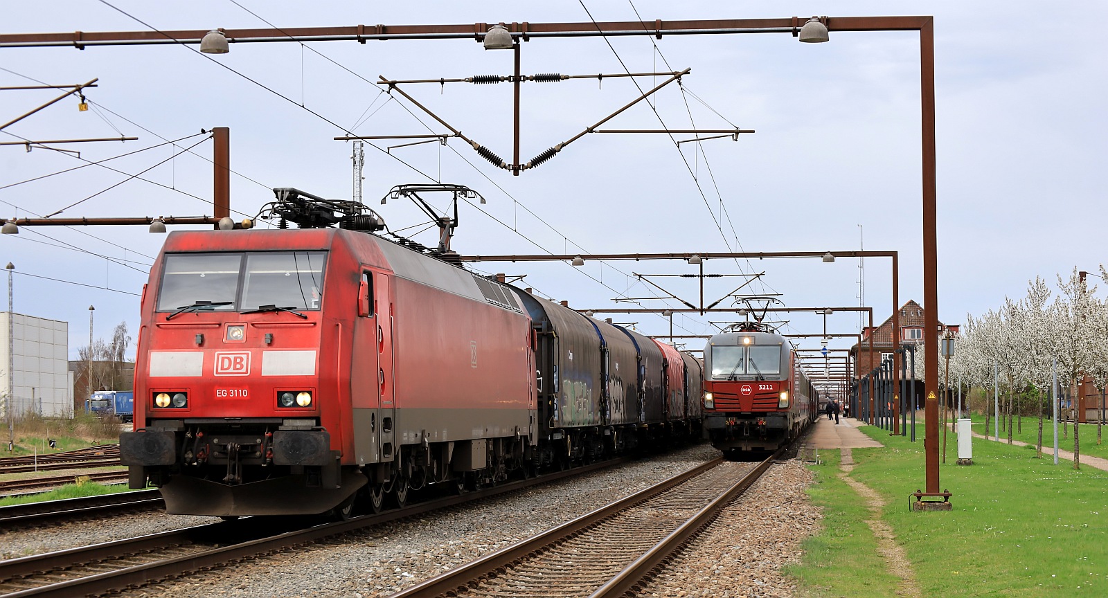 DBCSC EG 3110 und DSB EB 3211 beim  Treffen  im Bhf Pattburg/DK. 06.04.2024