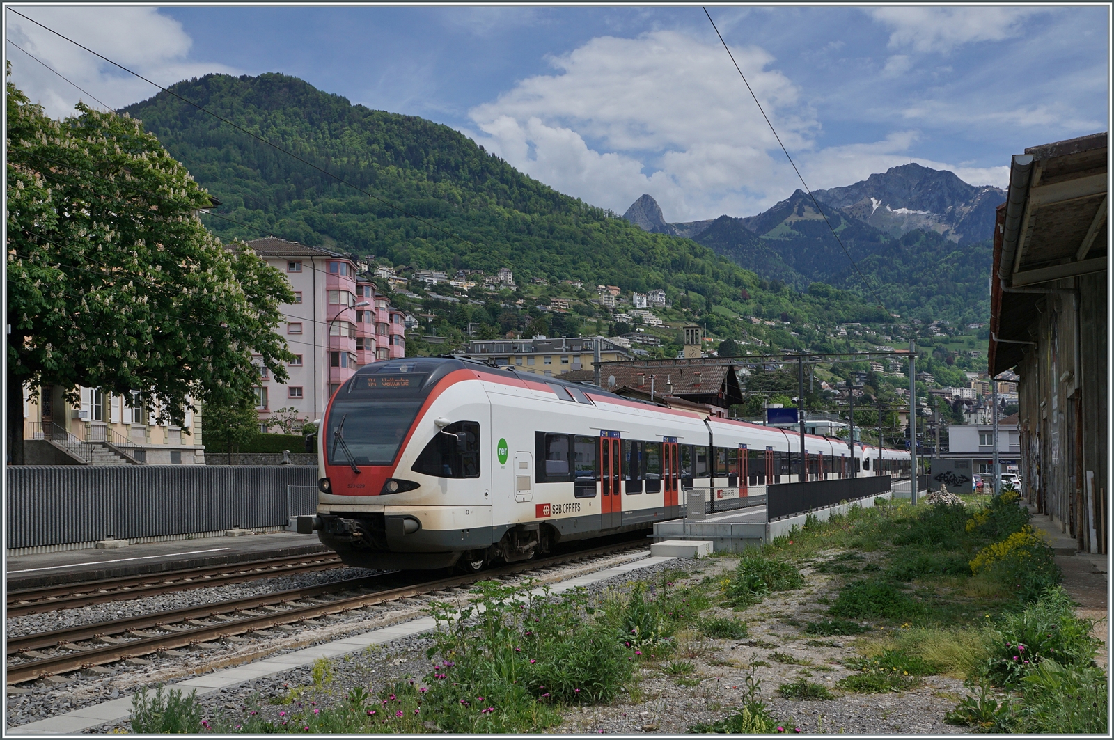 Die beiden SBB RABe 523 029 und 523 023 sind als R3 von Aigle nach Le Brassus/Vallorbe unterwegs und verlassen den Bahnhof von Clarens. 

14. Mai 2024