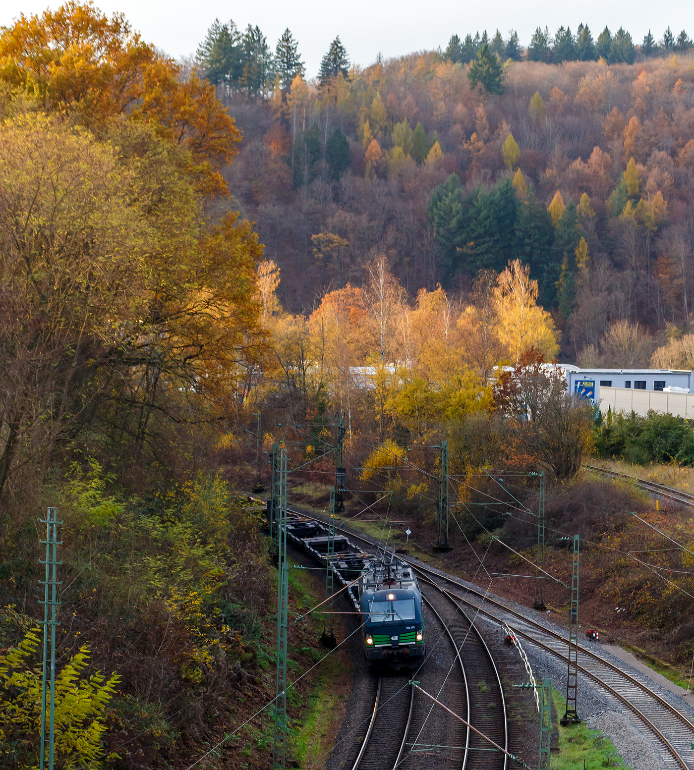Die noch an die TXL - TX Logistik AG (Troisdorf) vermietete Siemens Vectron AC 193 203 (91 80 6193 203-7 D-ELOC) „HIDDEN CHAMPION“ (englisch für heimliche Gewinner oder unbekannte Weltmarktführer) der ELL Austria GmbH (European Locomotive Leasing, Wien), fährt am 13 November 2025 mit einem leeren Taschenwagenzug durch Betzdorf/Sieg in Richtung Siegen. Der Mieter TXL setzt nun auf eigene Vectron Loks, es wurden 40 modernen Vectron-Lokomotiven bei Siemens Mobility bestellt.

Die Siemens Vectron AC wurde 2014 von Siemens Mobility GmbH in München-Allach unter der Fabriknummer 21923 gebaut und an die der European Locomotive Leasing (Wien) geliefert. Diese Vectron Lokomotive ist als AC – Lokomotive (Wechselstrom Lok) in der Variante B01 mit 6.400 kW konzipiert und zugelassen für Deutschland und Österreich. So besitzt sie die Zugsicherungssysteme ETCS BaseLine 3, sowie für Deutschland PZB90 / LZB80 (CIR-ELKE I) und für Österreich (ETCS Level 1 mit Euroloop, ETCS Level 2, PZB90 / LZB80. 
